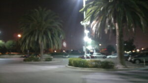 Palm trees are shown in frame on a busy street in El Monte, California. 