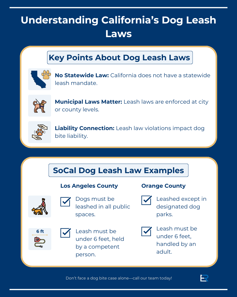 Infographic explaining California dog leash law overview with examples
